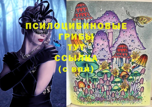 шишки Алексин