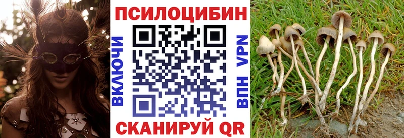 MEGA ССЫЛКА  Фатеж  Псилоцибиновые грибы GOLDEN TEACHER 